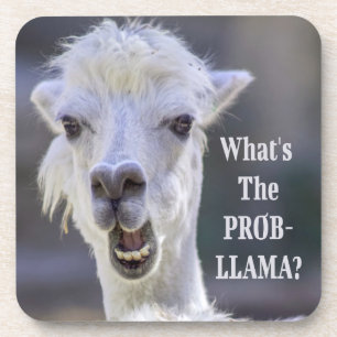 Was ist der Prob- Llama? Niedlich Funny LLAMA Getränkeuntersetzer