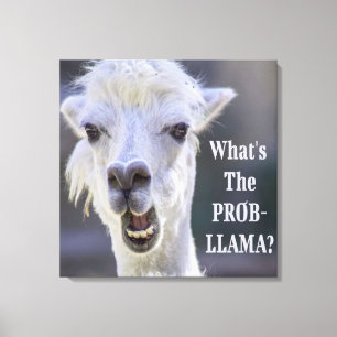 Was ist der Prob- Llama? Niedlich Funny LLAMA Leinwanddruck