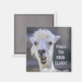 Was ist der Prob- Llama? Niedlich Funny LLAMA Magnet (Vorderseite/Rückseite)