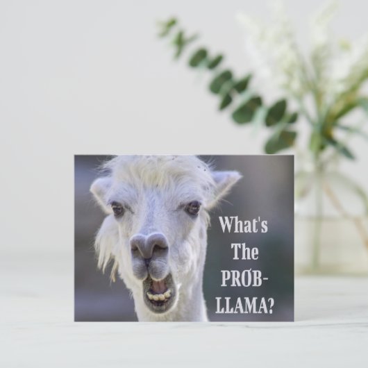Was ist der Prob- Llama? Niedlich Funny LLAMA Postkarte (Stehend Vorderseite)