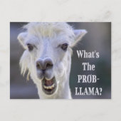 Was ist der Prob- Llama? Niedlich Funny LLAMA Postkarte (Vorderseite)