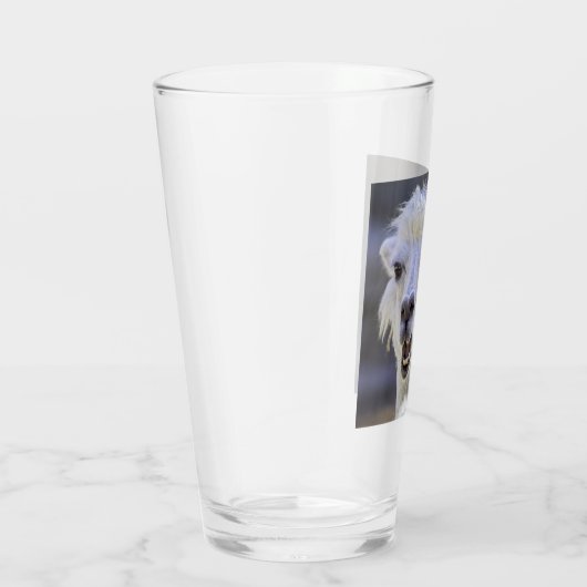 Was ist der Prob-Llama? Niedliche LLAMA Glas (Rechts)