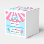 Was ist die Genderoffenbarung für Schotteneis? Geschenkschachtel (Vorderseite)