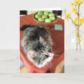 Was ist ein Stillleben? Sibirische Karte (Gelbe Blume)