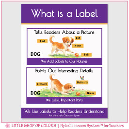 Was ist eine Beschriftung Classroom Anchor Chart Poster