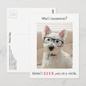Was ist Ereignis, Westie Hund trägt Brille Postkarte (Vorne/Hinten)
