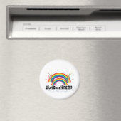 WAS IST ES GEMEIN? DOPPELRAINBOW MAGNET (In Situ (Geschirrspüler))