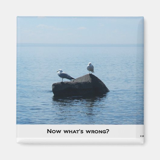 WAS IST FALSCH? MAGNET (Vorne)