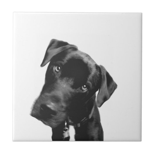 Was ist? fliese (Vorderseite)