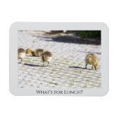 Was ist für das Mittagessen? Magnet (Horizontal)