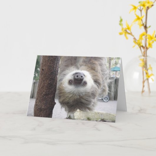 Was ist Hangin? Karte (Gelbe Blume)