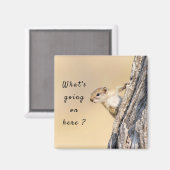 Was ist hier los mit Eichhörnchen-Foto? Magnet (Vorderseite/Rückseite)