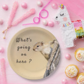 Was ist hier los mit Eichhörnchen-Foto? Pappteller (Party)