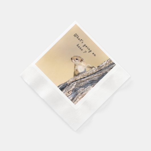 Was ist hier los mit Eichhörnchen-Foto? Serviette (Ecke)