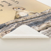 Was ist hier los mit Eichhörnchen-Foto? Sherpadecke (3/4)