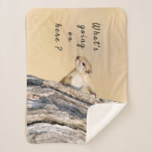 Was ist hier los mit Eichhörnchen-Foto? Sherpadecke (Vorderseite)