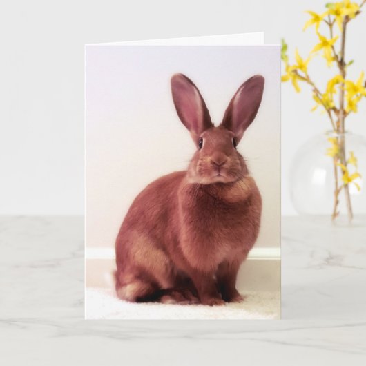 "Was ist Hoffnung?" Karte (Gelbe Blume)