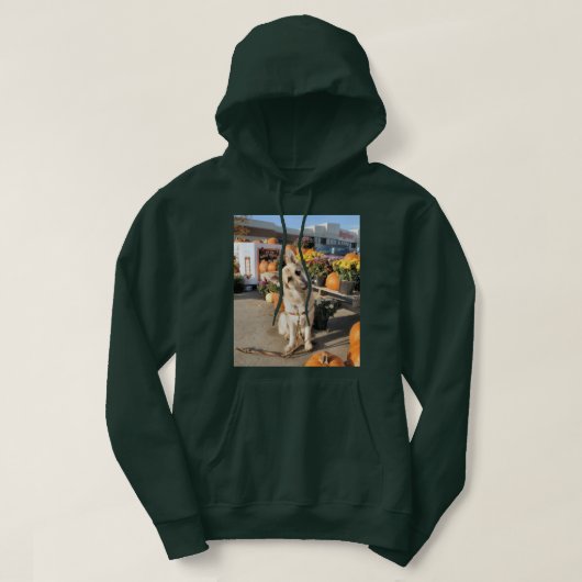 Was ist? hoodie (Design vorne)