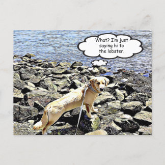 Was ist? Ich werde dem Hummer nur Hallo sagen Postkarte