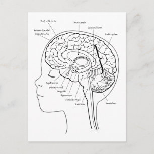 Was ist in deinem Gehirn? Postkarte