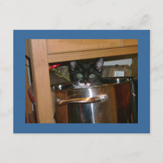 Was ist Keks? Postkarte