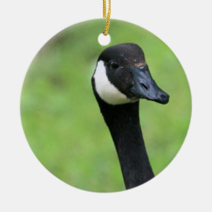Was ist? keramik ornament