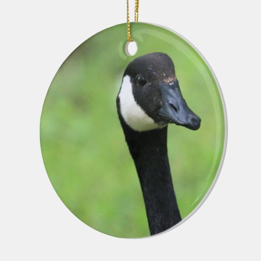 Was ist? keramik ornament (Links)