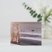 Was ist Kochen?!! Postkarte (Stehend Vorderseite)