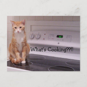 Was ist Kochen?!! Postkarte