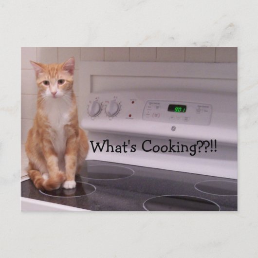 Was ist Kochen?!! Postkarte (Vorderseite)