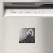 Was ist links von mir Magnet? Magnet (In Situ (Geschirrspüler))