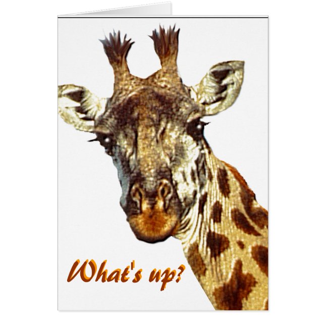 "Was ist los?" (Vorne)