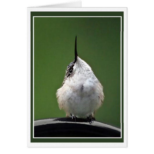 Was ist los? (Vorne)