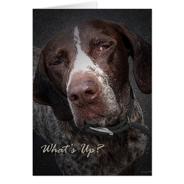 Was ist los? (Vorne)