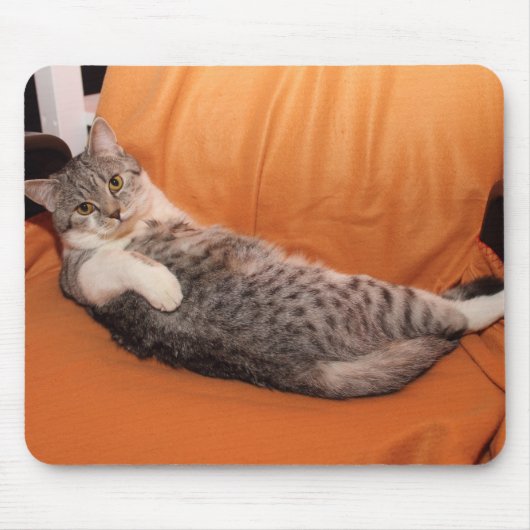 Was ist los? Abendessen fertig? Mousepad (Vorne)