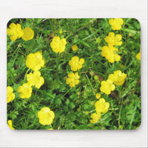 Was ist los Butterblume? Gelbe Frühlingsblumen. Mousepad