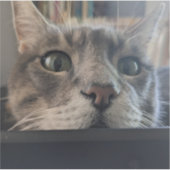 Was ist los, Cat? 3" Vinyl Sticker (Vorderseite)