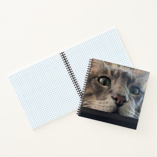 Was ist los, Cat? Square Spiral Notebook Notizblock (Innenseite)