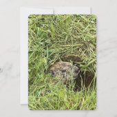 Was ist los? Flache Feiertagskarte (Vorderseite)