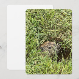 Was ist los? Flache Feiertagskarte