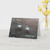 Was ist los ?, Hi, !Typ Karte (Gelbe Blume)