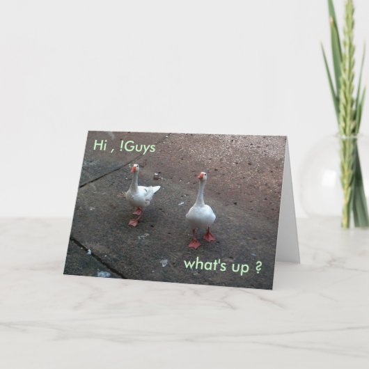 Was ist los ?, Hi, !Typ Karte (Vorderseite)