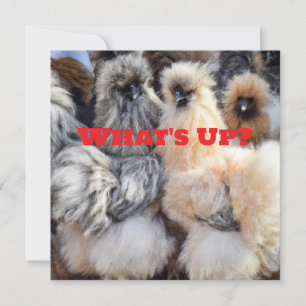 Was ist los, Hühnchen-Hintern-Karte Feiertagskarte