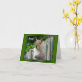 Was ist los? karte (Gelbe Blume)