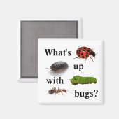 Was ist los mit Käfern? Der Magnet (Vorderseite/Rückseite)