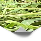 Was ist los? poster (Ecke)