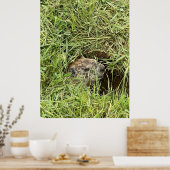 Was ist los? poster (Küche)