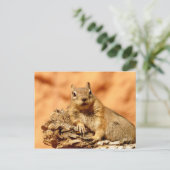 Was ist los? postkarte (Stehend Vorderseite)