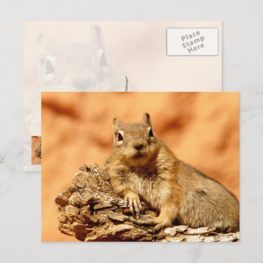 Was ist los? postkarte (Vorne/Hinten)