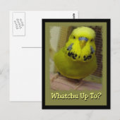 Was ist los? postkarte (Vorne/Hinten)
